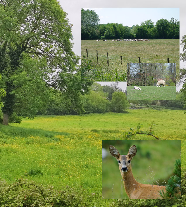 Entre la Dombes et la Bresse