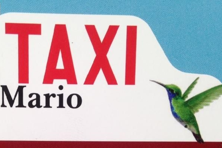 TAXI Mario