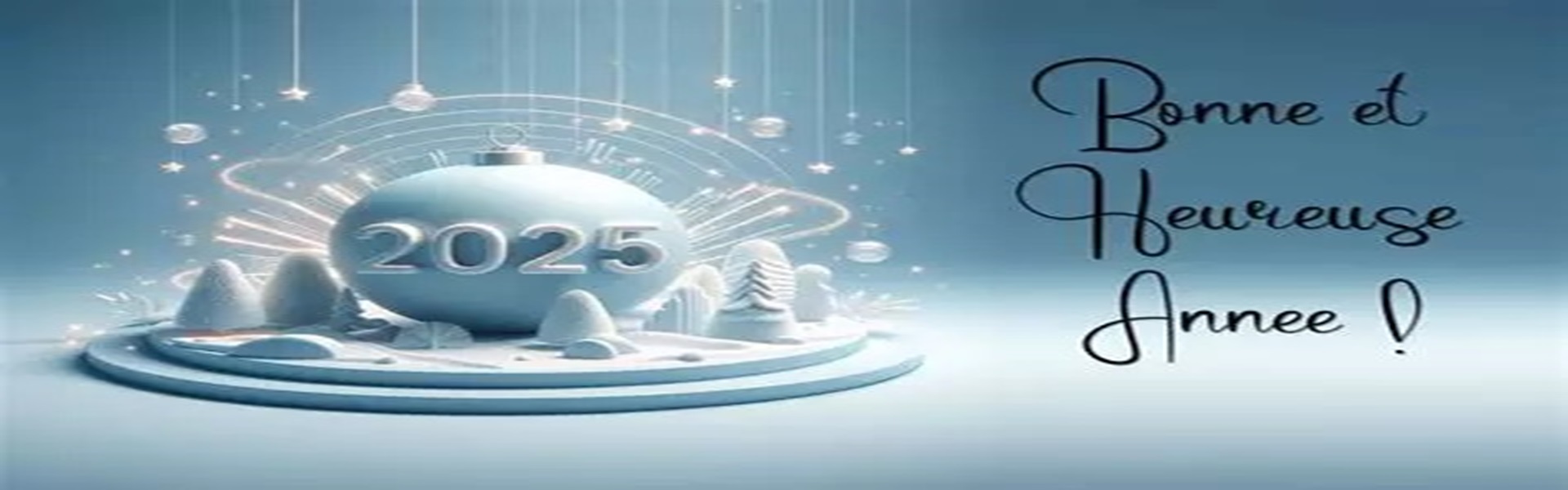 Bonne année 2025